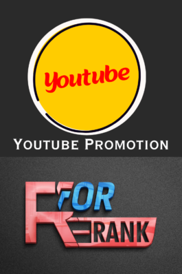 Buy YouTube Promotion
